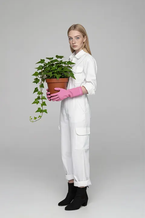 Aivy, Greenhouse look, world test for TRELLIS